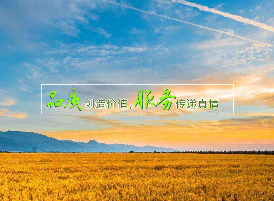 &ldquo;四個抓好&rdquo;讓農(nóng)機(jī)保障春耕生產(chǎn)